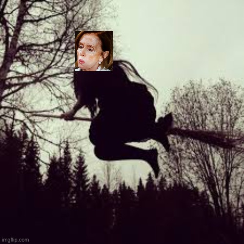 Flying witch | image tagged in flying witch | made w/ Imgflip meme maker