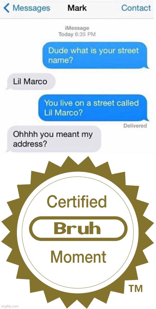 He couldn’t have been more stupid than this | image tagged in certified bruh moment,texts,texting,funny memes,memes | made w/ Imgflip meme maker