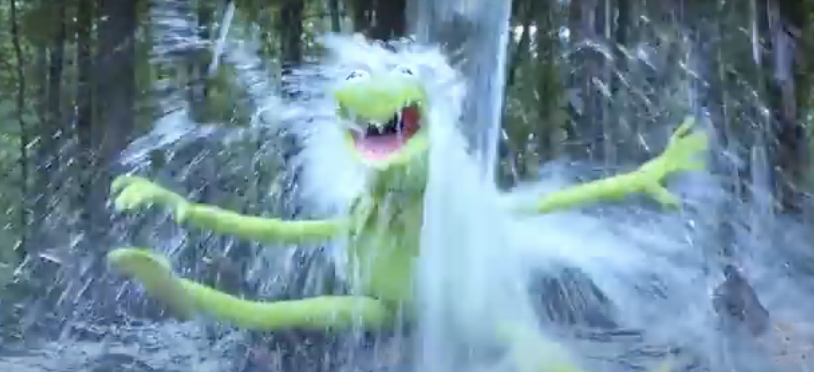 drenched kermit Blank Meme Template