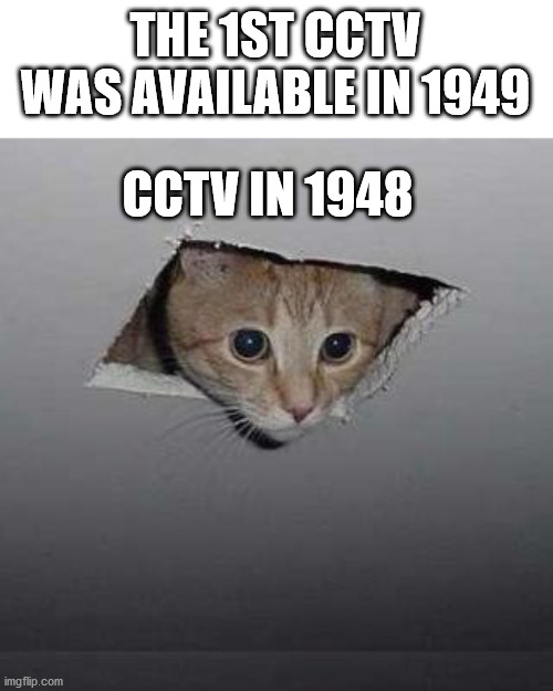 they were wireless too | THE 1ST CCTV WAS AVAILABLE IN 1949; CCTV IN 1948 | image tagged in memes,ceiling cat,history | made w/ Imgflip meme maker