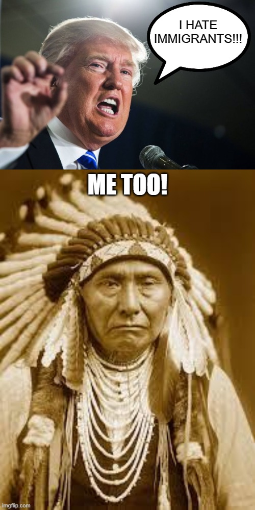 I HATE IMMIGRANTS!!! ME TOO! | image tagged in native american,donald trump | made w/ Imgflip meme maker