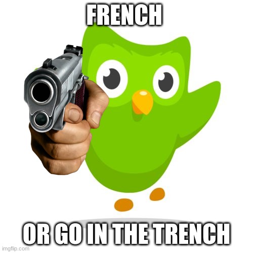 OH NO | FRENCH; OR GO IN THE TRENCH | image tagged in things duolingo teaches you | made w/ Imgflip meme maker