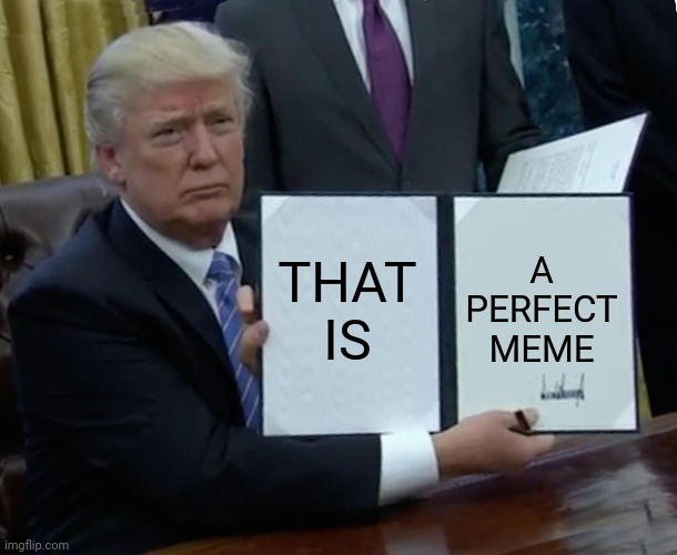 Trump Bill Signing Meme | THAT IS A PERFECT MEME | image tagged in memes,trump bill signing | made w/ Imgflip meme maker