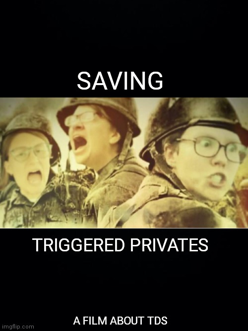 SAVING; TRIGGERED PRIVATES; A FILM ABOUT TDS | image tagged in trump derangement syndrome,triggered feminist,saving private ryan,movie poster,feminist,triggered liberal | made w/ Imgflip meme maker