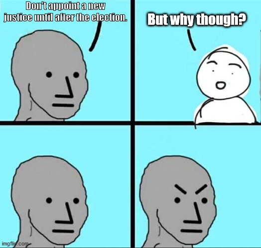 No actual argument | Don't appoint a new justice until after the election. But why though? | image tagged in npc meme,supreme court,election 2020,democrats,liberal hypocrisy | made w/ Imgflip meme maker