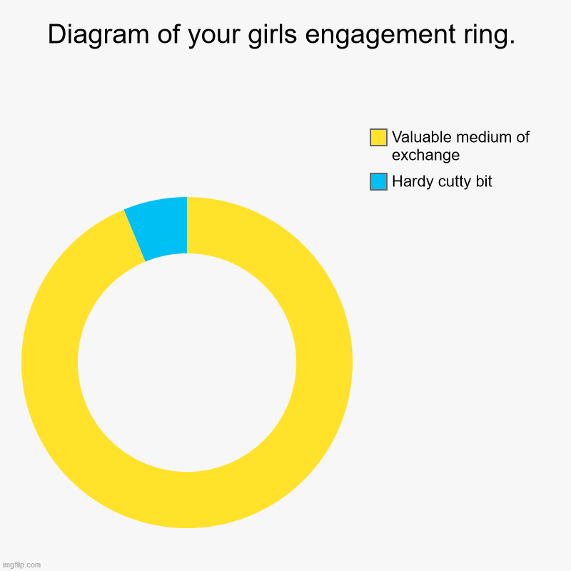 what boys see | Diagram of your girls engagement ring. | Hardy cutty bit, Valuable medium of exchange | image tagged in charts,donut charts | made w/ Imgflip chart maker