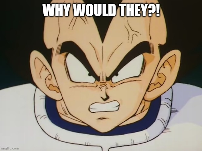 Angry Vegeta (DBZ) | WHY WOULD THEY?! | image tagged in angry vegeta dbz | made w/ Imgflip meme maker