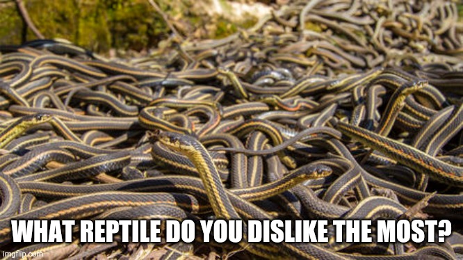 WHAT REPTILE DO YOU DISLIKE THE MOST? | image tagged in snakes,lizards,iguana | made w/ Imgflip meme maker