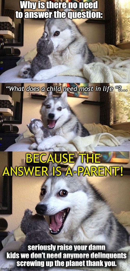 A-Parent | Why is there no need to answer the question:; “What does a child need most in life “?... BECAUSE THE ANSWER IS A-PARENT! seriously raise your damn kids we don’t need anymore delinquents screwing up the planet thank you. | image tagged in bad joke dog | made w/ Imgflip meme maker