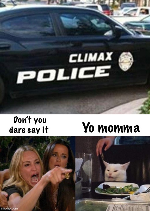 Yo momma | Yo momma; Don’t you dare say it | image tagged in memes,woman yelling at cat | made w/ Imgflip meme maker