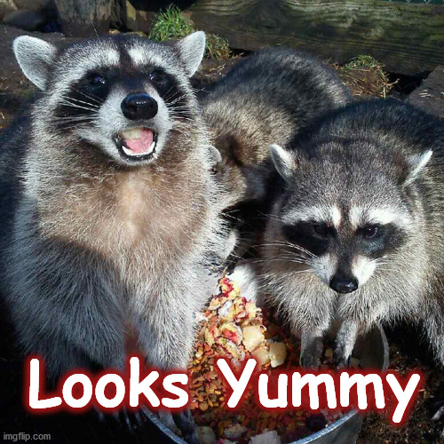 yummy | Looks Yummy | image tagged in yummy | made w/ Imgflip meme maker