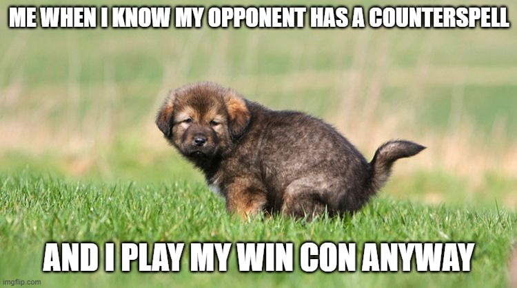 The plight of us | ME WHEN I KNOW MY OPPONENT HAS A COUNTERSPELL; AND I PLAY MY WIN CON ANYWAY | image tagged in puppy pooping | made w/ Imgflip meme maker