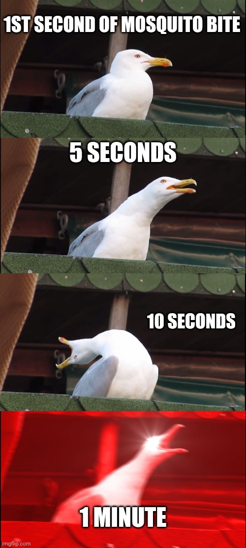 Inhaling Seagull | 1ST SECOND OF MOSQUITO BITE; 5 SECONDS; 10 SECONDS; 1 MINUTE | image tagged in memes,inhaling seagull | made w/ Imgflip meme maker