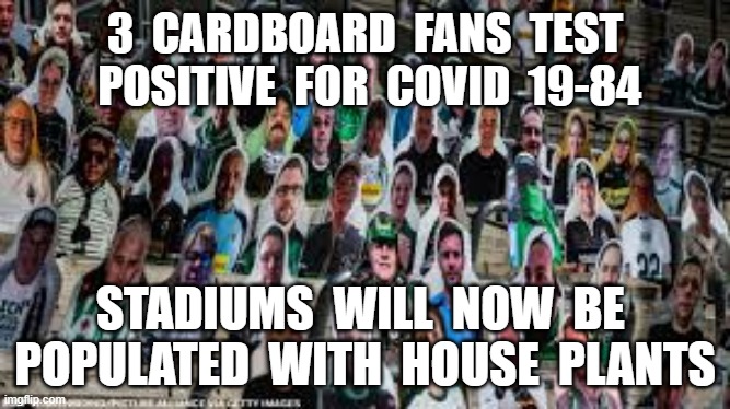 3  CARDBOARD  FANS  TEST  POSITIVE  FOR  COVID  19-84; STADIUMS  WILL  NOW  BE  POPULATED  WITH  HOUSE  PLANTS | image tagged in corona virus,covid19,covid 1984,plandemic | made w/ Imgflip meme maker