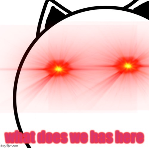 wat dos wii haz heer | image tagged in what does we has here | made w/ Imgflip meme maker