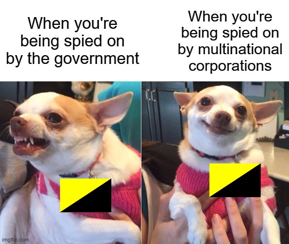 Ancaps being spied on | When you're being spied on by multinational corporations; When you're being spied on by the government | image tagged in lily lu,capitalism,libertarians,libertarianism,spying,ancap | made w/ Imgflip meme maker