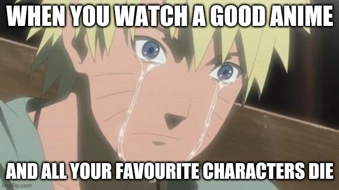 Noooooooooooo | WHEN YOU WATCH A GOOD ANIME; AND ALL YOUR FAVOURITE CHARACTERS DIE | image tagged in finishing anime | made w/ Imgflip meme maker