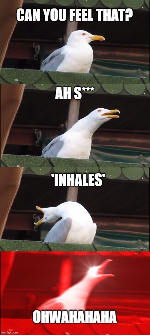 singing 'Down with the sickness" | CAN YOU FEEL THAT? AH S***; 'INHALES'; OHWAHAHAHA | image tagged in memes,inhaling seagull | made w/ Imgflip meme maker