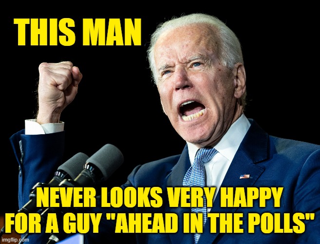 Joe Biden's fist | THIS MAN NEVER LOOKS VERY HAPPY FOR A GUY "AHEAD IN THE POLLS" | image tagged in joe biden's fist | made w/ Imgflip meme maker