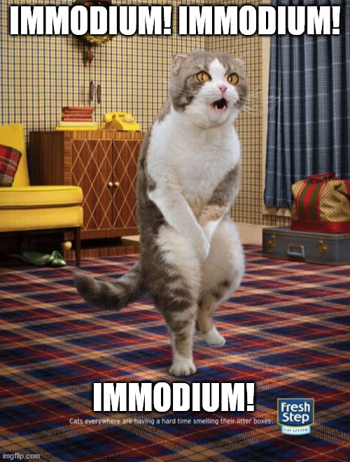 Gotta Go Cat | IMMODIUM! IMMODIUM! IMMODIUM! | image tagged in memes,gotta go cat | made w/ Imgflip meme maker