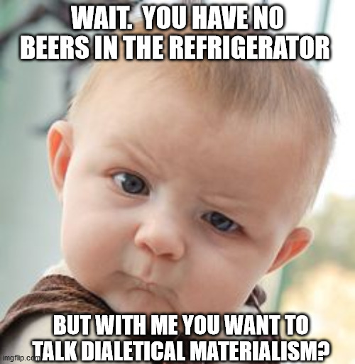 Skeptical Baby Meme | WAIT.  YOU HAVE NO BEERS IN THE REFRIGERATOR; BUT WITH ME YOU WANT TO TALK DIALETICAL MATERIALISM? | image tagged in memes,skeptical baby | made w/ Imgflip meme maker
