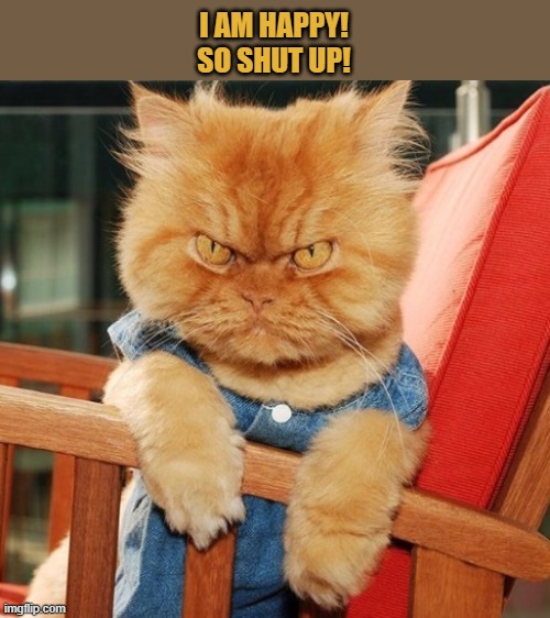 Happy Cat | I AM HAPPY!
SO SHUT UP! | image tagged in happy cat,sour puss | made w/ Imgflip meme maker