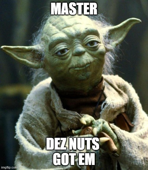 Star Wars Yoda | MASTER; DEZ NUTS 
GOT EM | image tagged in memes,star wars yoda | made w/ Imgflip meme maker