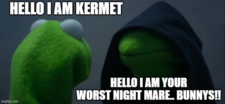 Evil Kermit | HELLO I AM KERMET; HELLO I AM YOUR WORST NIGHT MARE.. BUNNYS!! | image tagged in memes,evil kermit | made w/ Imgflip meme maker