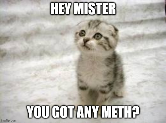 Sad Cat | HEY MISTER; YOU GOT ANY METH? | image tagged in memes,sad cat | made w/ Imgflip meme maker