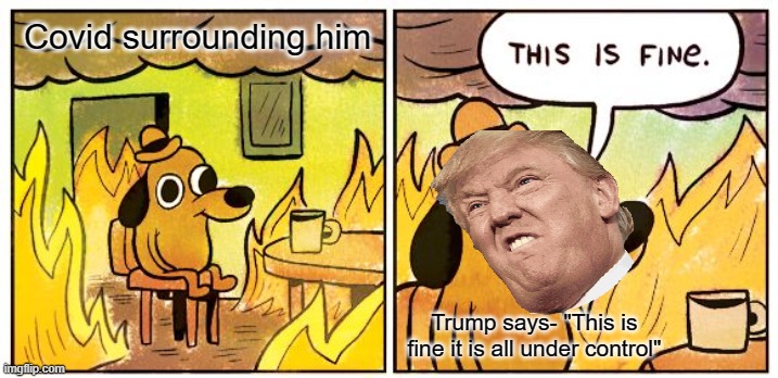 This Is Fine | Covid surrounding him; Trump says- "This is fine it is all under control" | image tagged in memes,this is fine | made w/ Imgflip meme maker