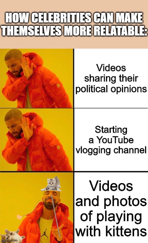 Drake meme 3 panels | HOW CELEBRITIES CAN MAKE THEMSELVES MORE RELATABLE:; Videos sharing their political opinions; Starting a YouTube vlogging channel; Videos and photos of playing with kittens | image tagged in drake meme 3 panels | made w/ Imgflip meme maker