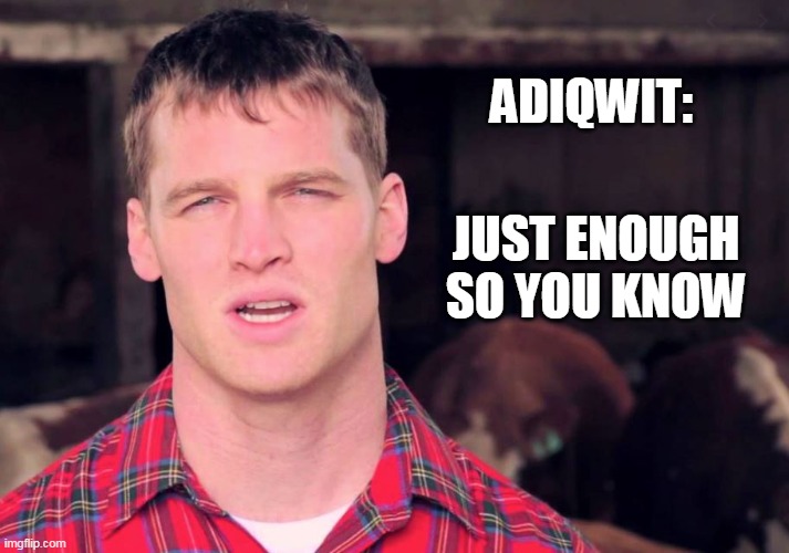 Letterkenny | ADIQWIT:; JUST ENOUGH SO YOU KNOW | image tagged in letterkenny,funny | made w/ Imgflip meme maker