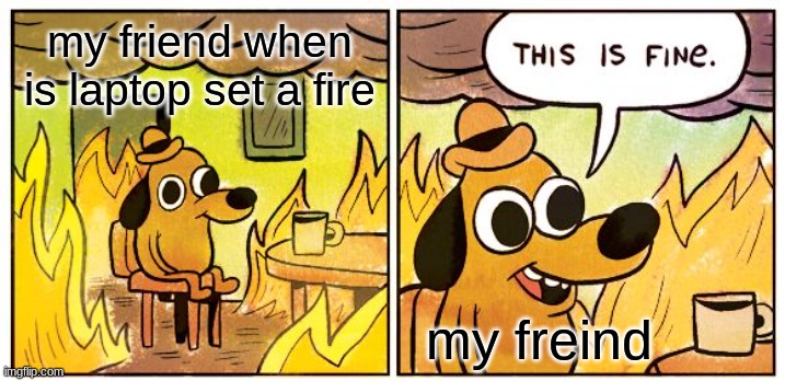 This Is Fine | my friend when is laptop set a fire; my freind | image tagged in memes,this is fine | made w/ Imgflip meme maker