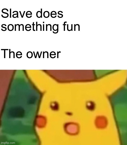 Yep | Slave does 
something fun; The owner | image tagged in memes,surprised pikachu | made w/ Imgflip meme maker