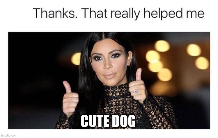 thanks | CUTE DOG | image tagged in thanks | made w/ Imgflip meme maker