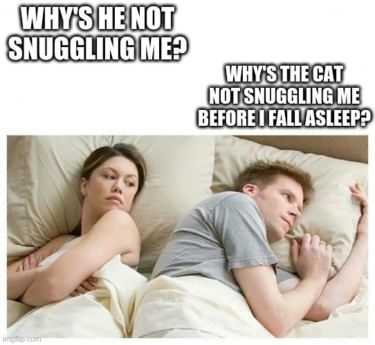 I bet he's thinking about other girls white space | WHY'S HE NOT SNUGGLING ME? WHY'S THE CAT NOT SNUGGLING ME BEFORE I FALL ASLEEP? | image tagged in i bet he's thinking about other girls white space | made w/ Imgflip meme maker