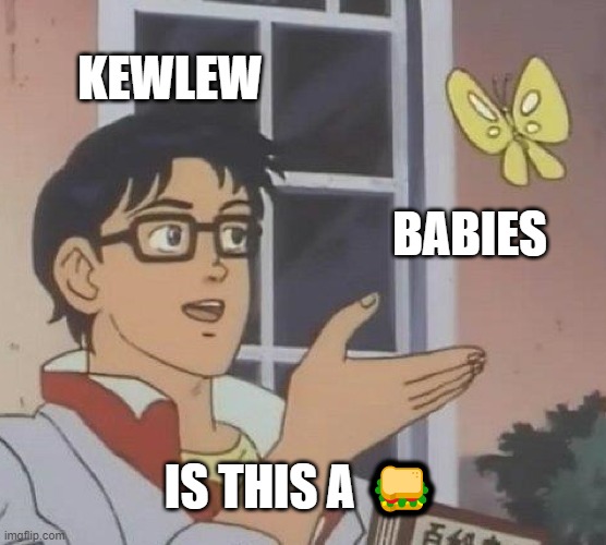 Things have been strange around here. | KEWLEW; BABIES; IS THIS A 🥪 | image tagged in memes,is this a pigeon,sandwich,babies,kewlew | made w/ Imgflip meme maker