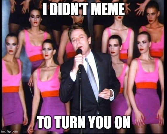 I DIDN'T MEME TO TURN YOU ON |  I DIDN'T MEME; TO TURN YOU ON | image tagged in robert palmer | made w/ Imgflip meme maker