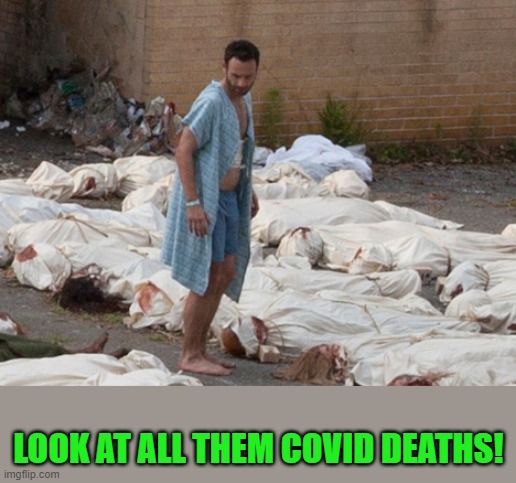 The Walking dead corpses | LOOK AT ALL THEM COVID DEATHS! | image tagged in the walking dead corpses | made w/ Imgflip meme maker