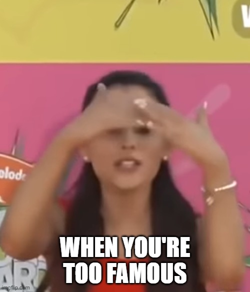 When You're Too Famous | WHEN YOU'RE TOO FAMOUS | image tagged in ariana grande hiding | made w/ Imgflip meme maker