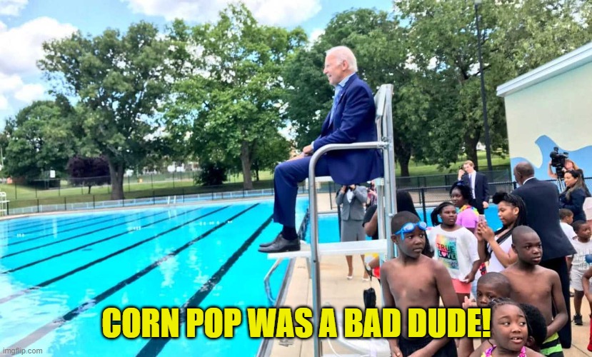 Joe Biden at pool | CORN POP WAS A BAD DUDE! | image tagged in joe biden at pool | made w/ Imgflip meme maker