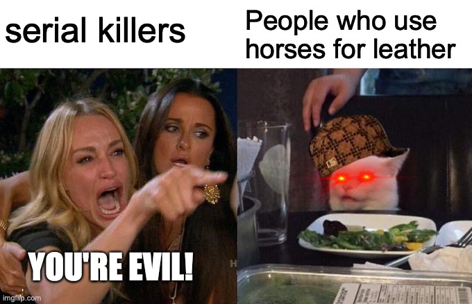 Woman Yelling At Cat Meme | serial killers; People who use horses for leather; YOU'RE EVIL! | image tagged in memes,woman yelling at cat | made w/ Imgflip meme maker