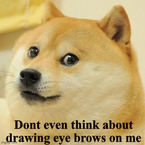 Doge Meme | Dont even think about drawing eye brows on me | image tagged in memes,doge | made w/ Imgflip meme maker