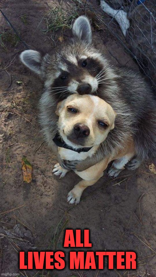 Why Can't We All Get Along? | ALL LIVES MATTER | image tagged in politics,political meme,republicans,conservatives,donald trump approves | made w/ Imgflip meme maker