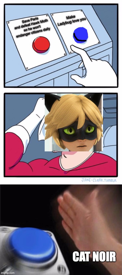 Wow, Ladybug would be proud, Kitty -_- | Make Ladybug love you; Save Paris and defeat Hawk Moth so he won't endanger citizens daily; CAT NOIR | image tagged in memes,two buttons,blank nut button,miraculous ladybug | made w/ Imgflip meme maker