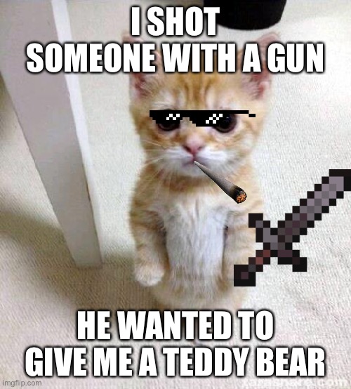 Cute Cat Meme | I SHOT SOMEONE WITH A GUN; HE WANTED TO GIVE ME A TEDDY BEAR | image tagged in memes,cute cat | made w/ Imgflip meme maker