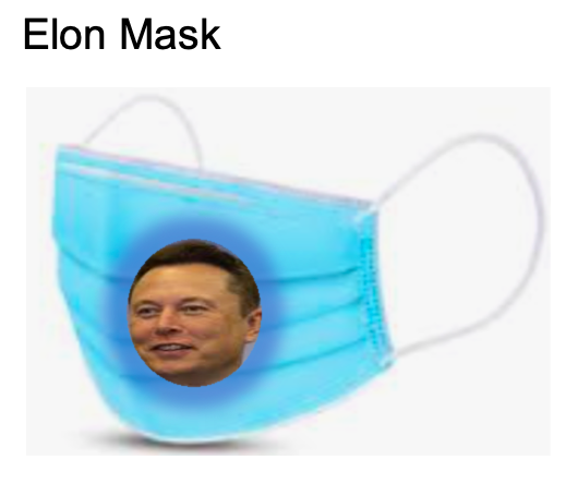 elon mask Blank Meme Template