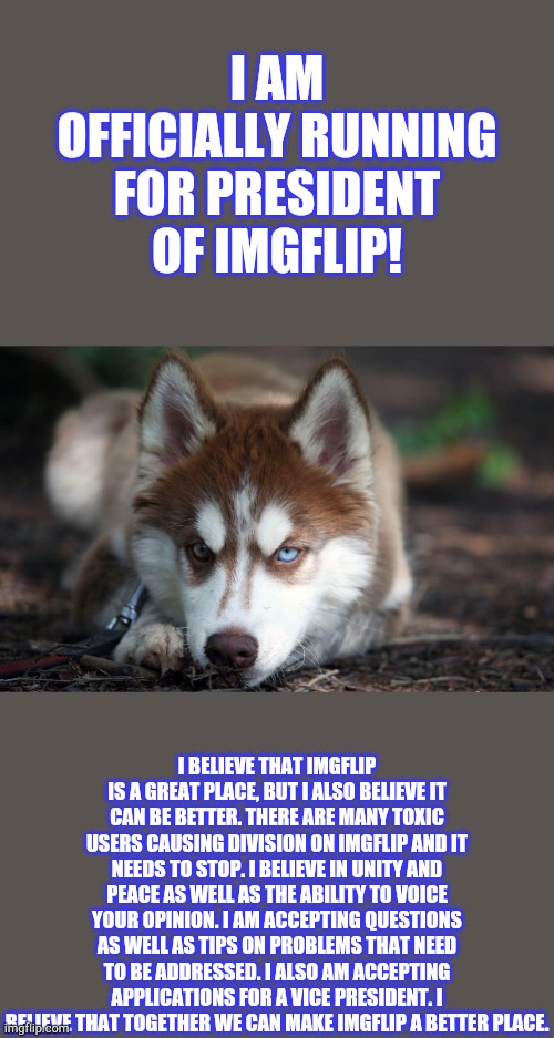 Maple_Husky running for president. | I AM OFFICIALLY RUNNING FOR PRESIDENT OF IMGFLIP! I BELIEVE THAT IMGFLIP IS A GREAT PLACE, BUT I ALSO BELIEVE IT CAN BE BETTER. THERE ARE MANY TOXIC USERS CAUSING DIVISION ON IMGFLIP AND IT NEEDS TO STOP. I BELIEVE IN UNITY AND PEACE AS WELL AS THE ABILITY TO VOICE YOUR OPINION. I AM ACCEPTING QUESTIONS AS WELL AS TIPS ON PROBLEMS THAT NEED TO BE ADDRESSED. I ALSO AM ACCEPTING APPLICATIONS FOR A VICE PRESIDENT. I BELIEVE THAT TOGETHER WE CAN MAKE IMGFLIP A BETTER PLACE. | image tagged in president,running,2020,maple_husky | made w/ Imgflip meme maker