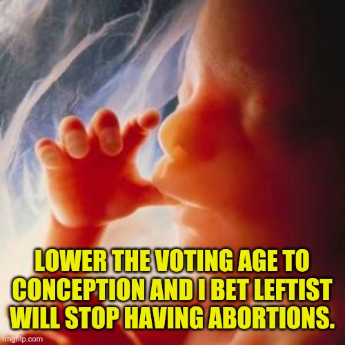 Checkmate Abortion Lovers | LOWER THE VOTING AGE TO CONCEPTION AND I BET LEFTIST WILL STOP HAVING ABORTIONS. | image tagged in fetus,abortion is murder,abortion,drstrangmeme,conservatives,democrats | made w/ Imgflip meme maker