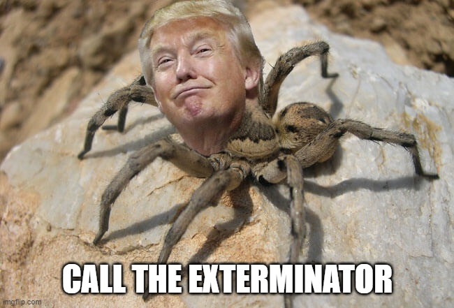 The White House Has a Horrible Infestation that We Need to Get Rid of ASAP | CALL THE EXTERMINATOR | image tagged in dump trump,trump equals death,disgusting,ugly | made w/ Imgflip meme maker
